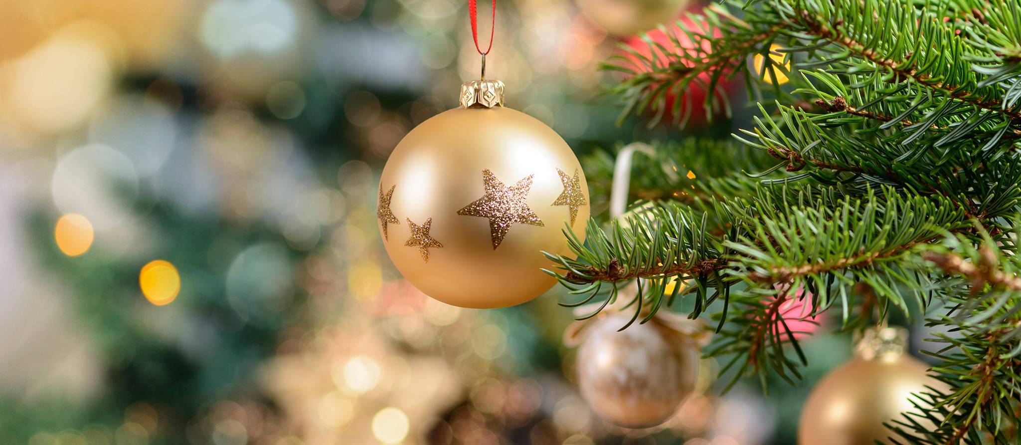 sapin de noel